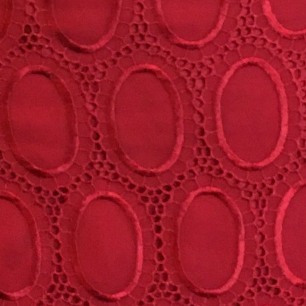 SYLVIA RIELLE Parisian Designer Red Lace Skirt - Picture 7 of 12